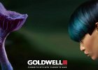 TRENDY 2012 GOLDWELL 7